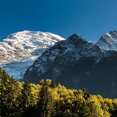 Sud - Jonquilles 001 - Happy * Chamonix