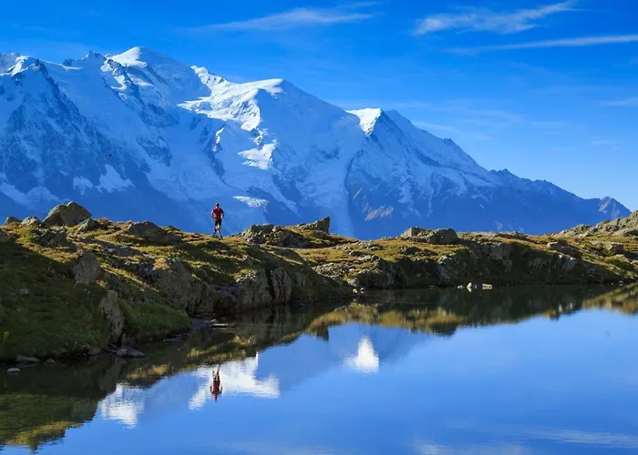 Sud - Jonquilles 001 - Happy Lejlighed Chamonix