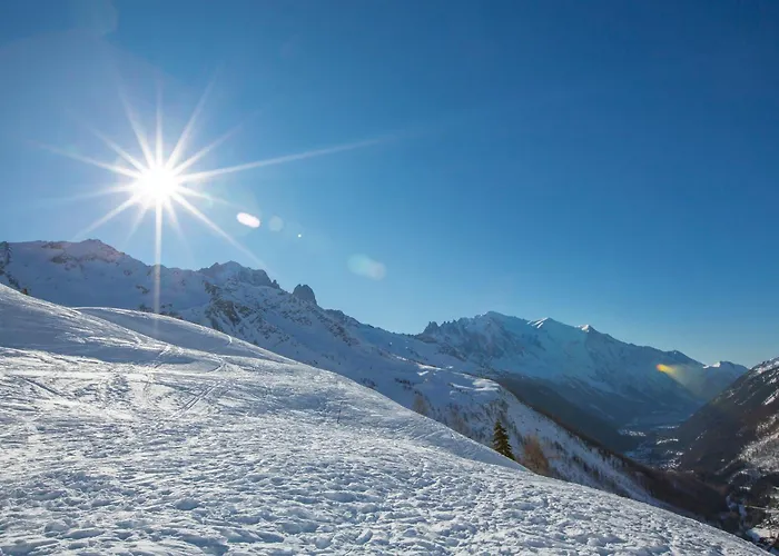 Sud - Jonquilles 001 - Happy Шамоні