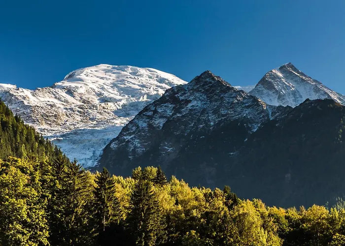 Sud - Jonquilles 001 - Happy